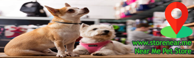 Pet Stores in USA - Find pet near you